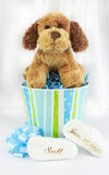 Puppy and Baby Shoes Pail For Boys